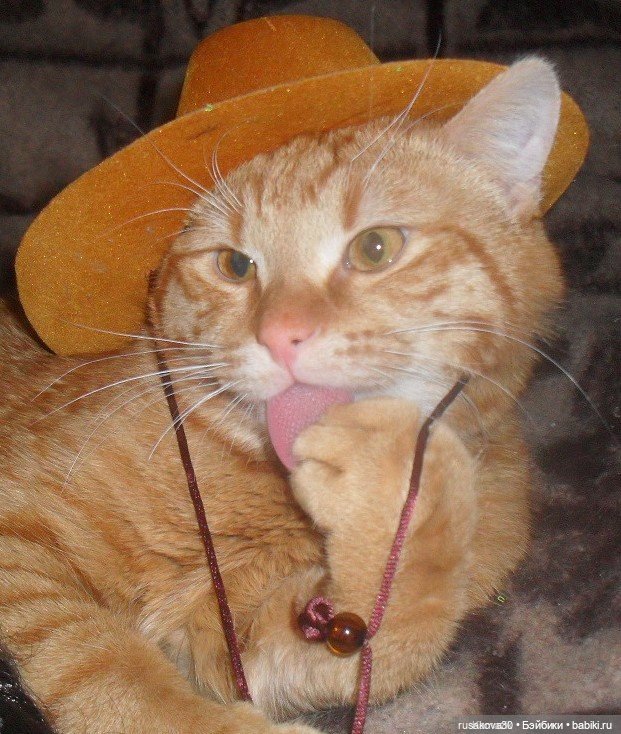 Прогулка по Лондону — Туризм и путешествия: фотоотчеты из поездок