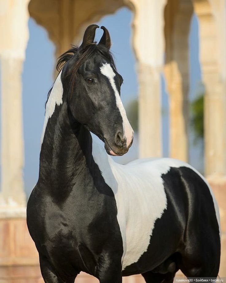 Продолжаем гулять по Лондону