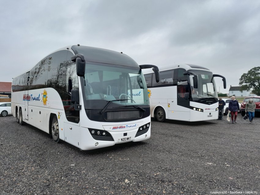 Рождественский базар в Ely (Или) (фото 2)