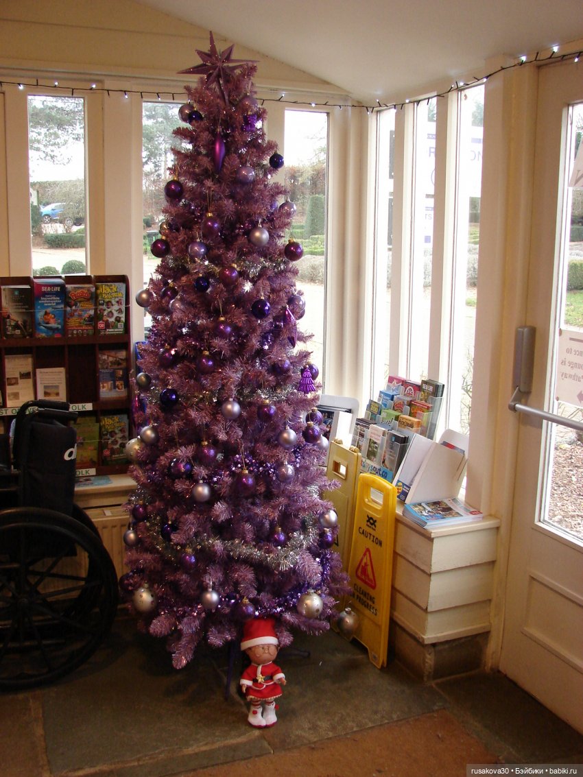 Санта и бабайки на рождественском ланче (фото 5)