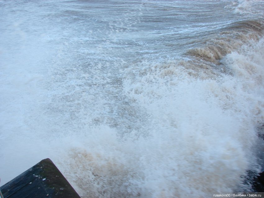 Бруммель едет за покупками (фото 6)