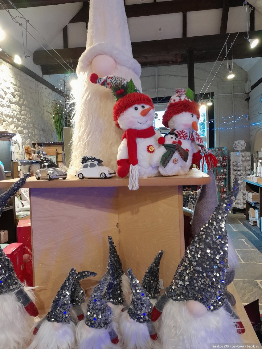 Санта и бабайки на рождественском ланче (фото 3)