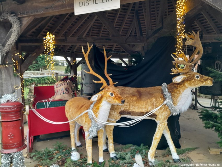 Санта и бабайки на рождественском ланче (фото 9)