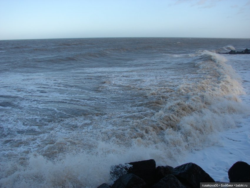 Бруммель едет за покупками (фото 5)