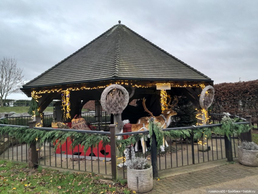 Санта и бабайки на рождественском ланче (фото 8)