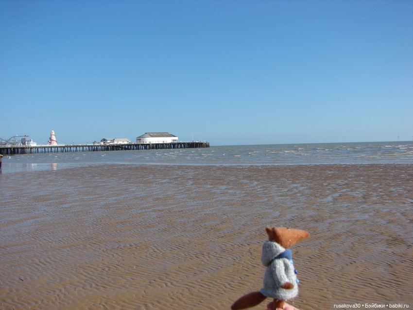 Лис - Усатый Лисовин — Авторские мишки Тедди и друзья: фото