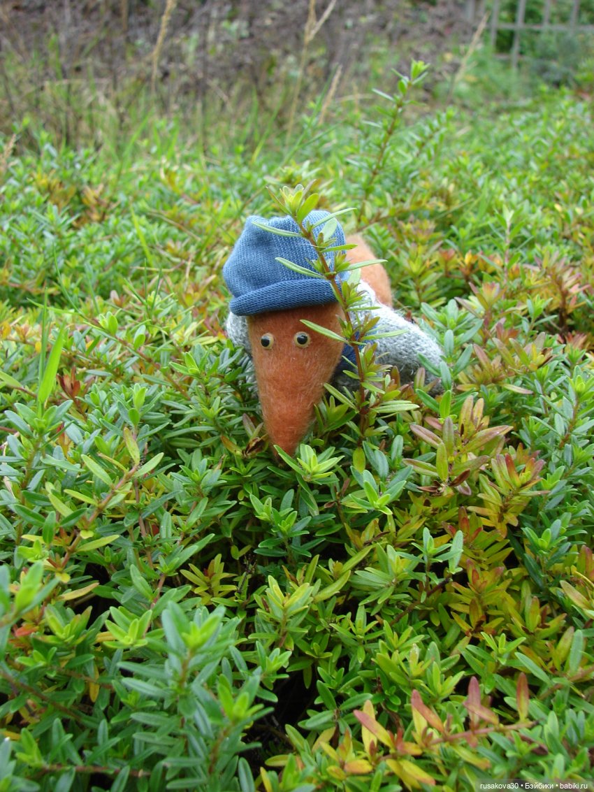 Лис - Усатый Лисовин — Авторские мишки Тедди и друзья: фото (фото 4)