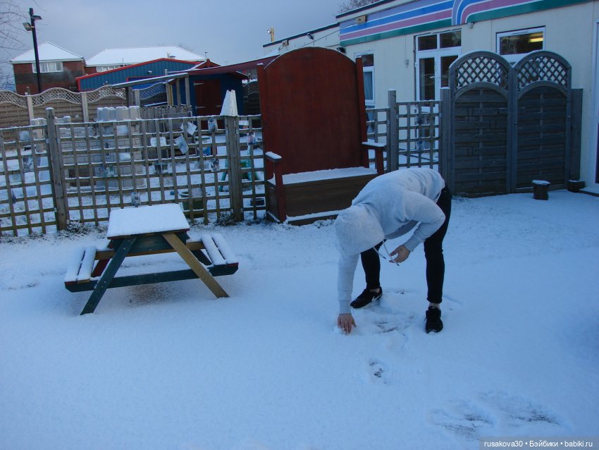 Лис - Усатый Лисовин — Авторские мишки Тедди и друзья: фото