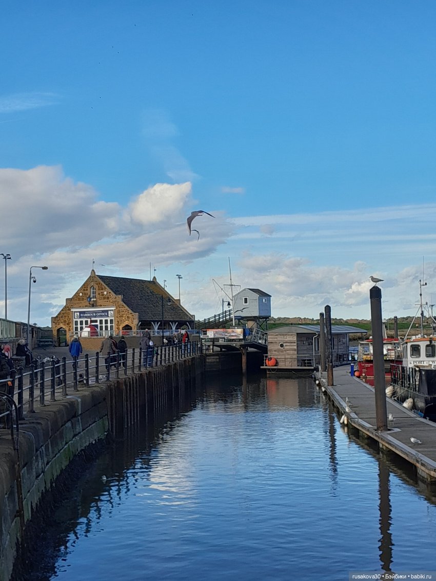 Сашенька у моря — Куклы Sasha Morgenthaler (Саша Моргенталер): Trendon (фото 8)