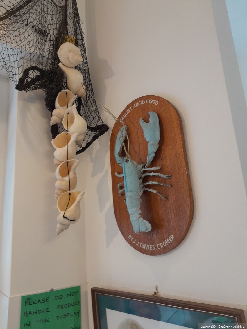 Как мы в Кромер съездили | Бэйбики Как мы в Кромер съездили — Куклы Kathe Kruse (Кате/Кэте Крузе): фото