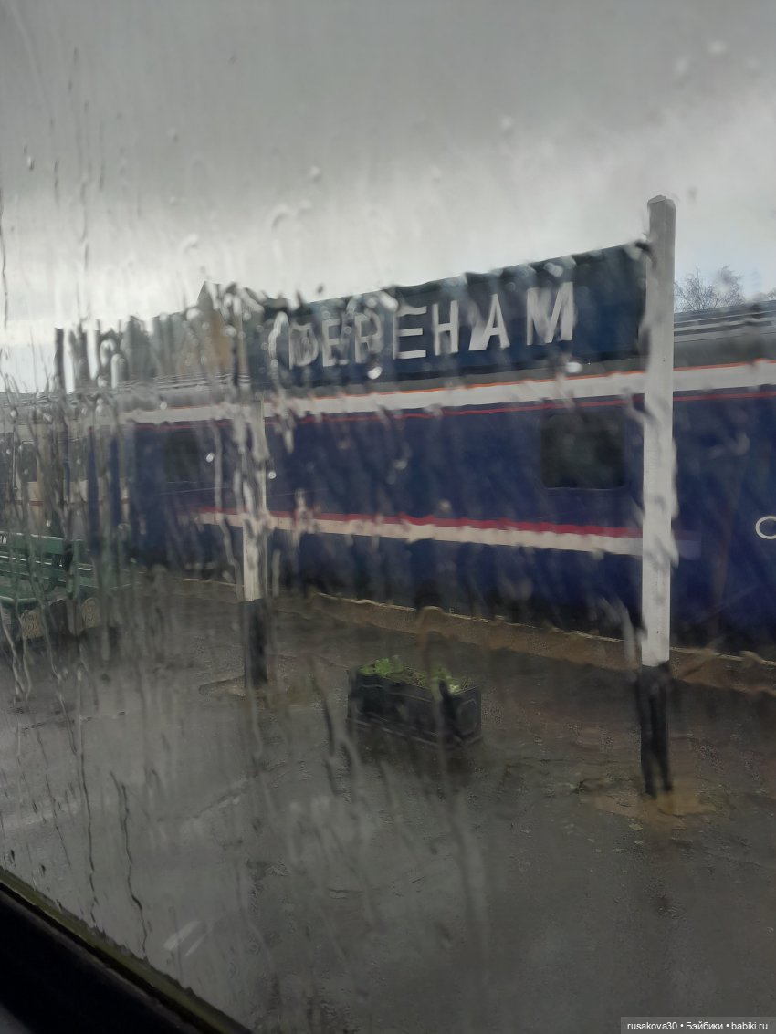 Людвиг и Нильс на выставке