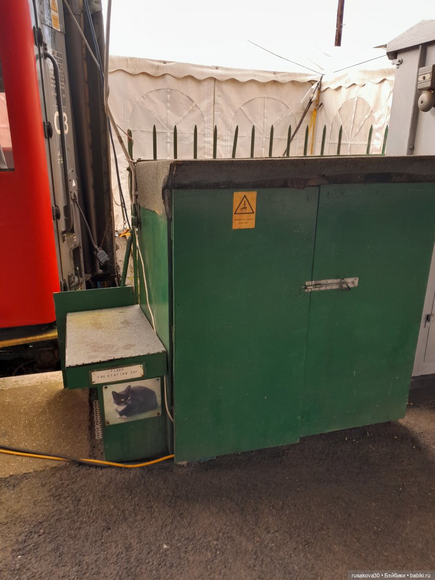 Людвиг и Нильс на выставке