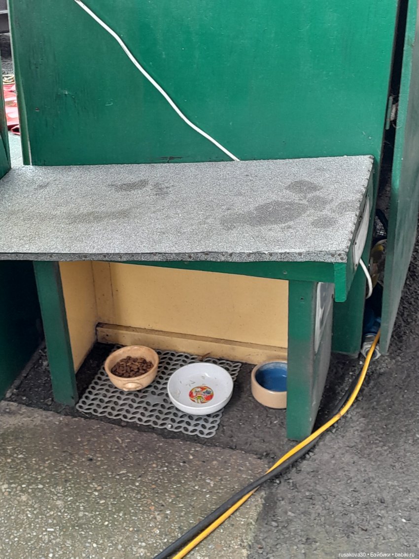 Людвиг и Нильс на выставке