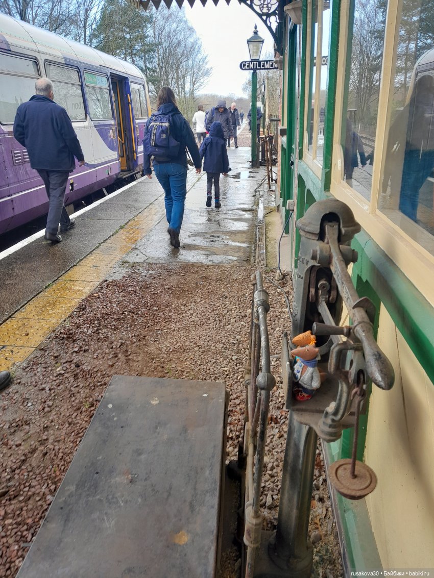 Людвиг и Нильс на выставке