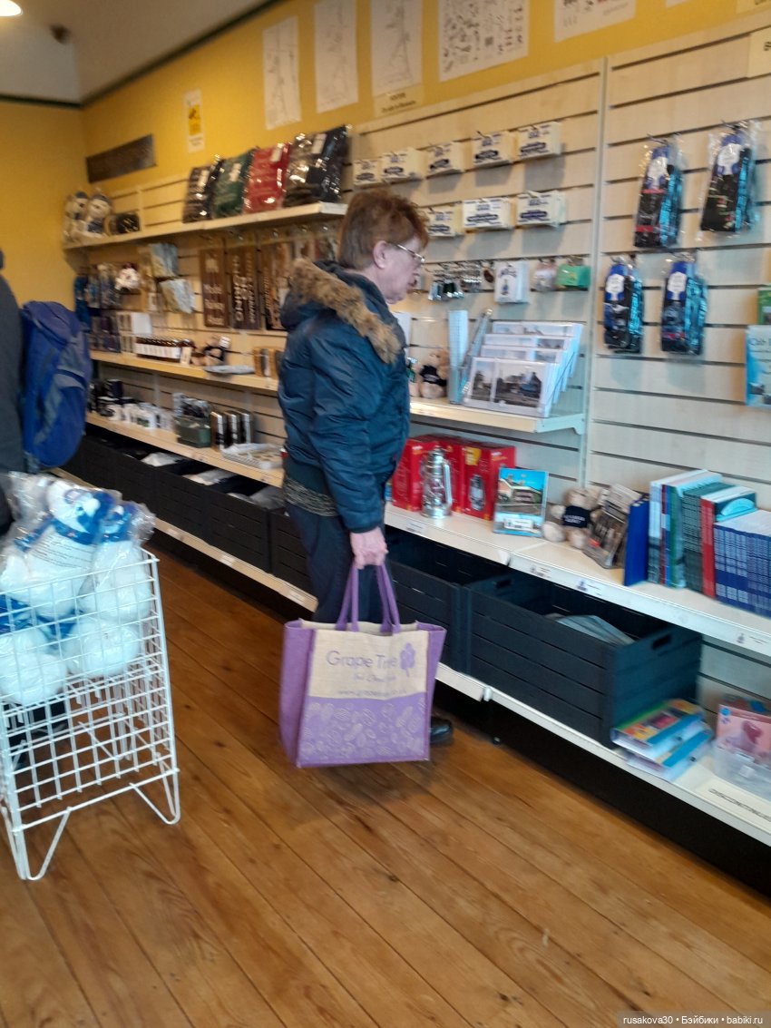 Людвиг и Нильс на выставке