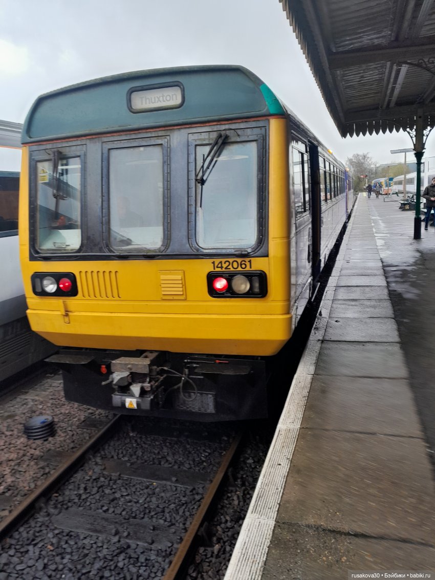 Людвиг и Нильс на выставке