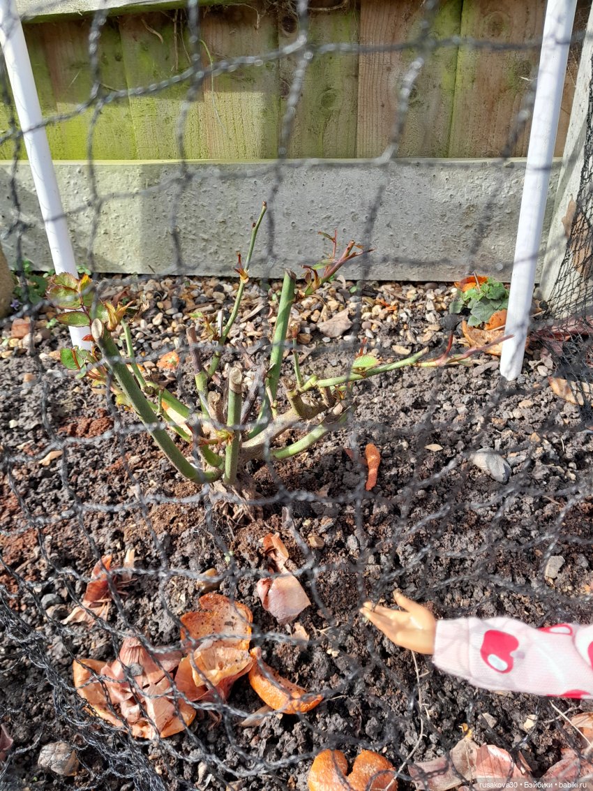 Первая прогулка Снежки — Куклы Disney Animators и Принцессы Диснея: Disney Store