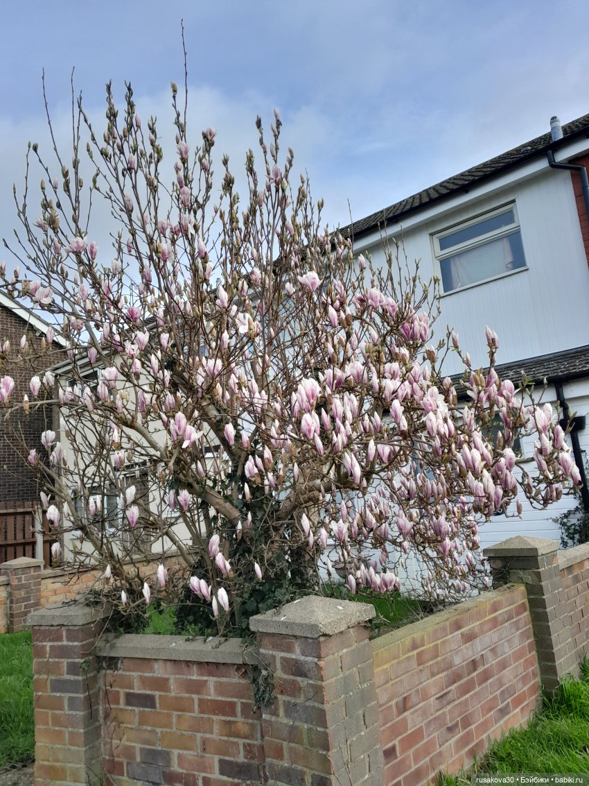 Первая прогулка Снежки — Куклы Disney Animators и Принцессы Диснея: Disney Store