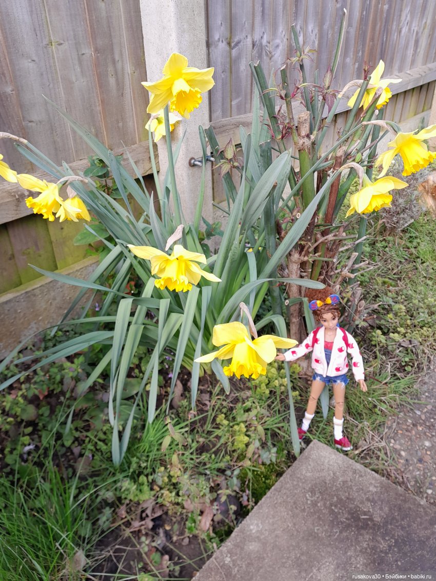 Первая прогулка Снежки — Куклы Disney Animators и Принцессы Диснея: Disney Store