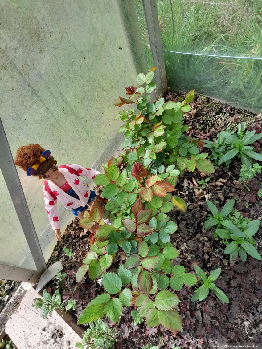 Первая прогулка Снежки — Куклы Disney Animators и Принцессы Диснея: Disney Store