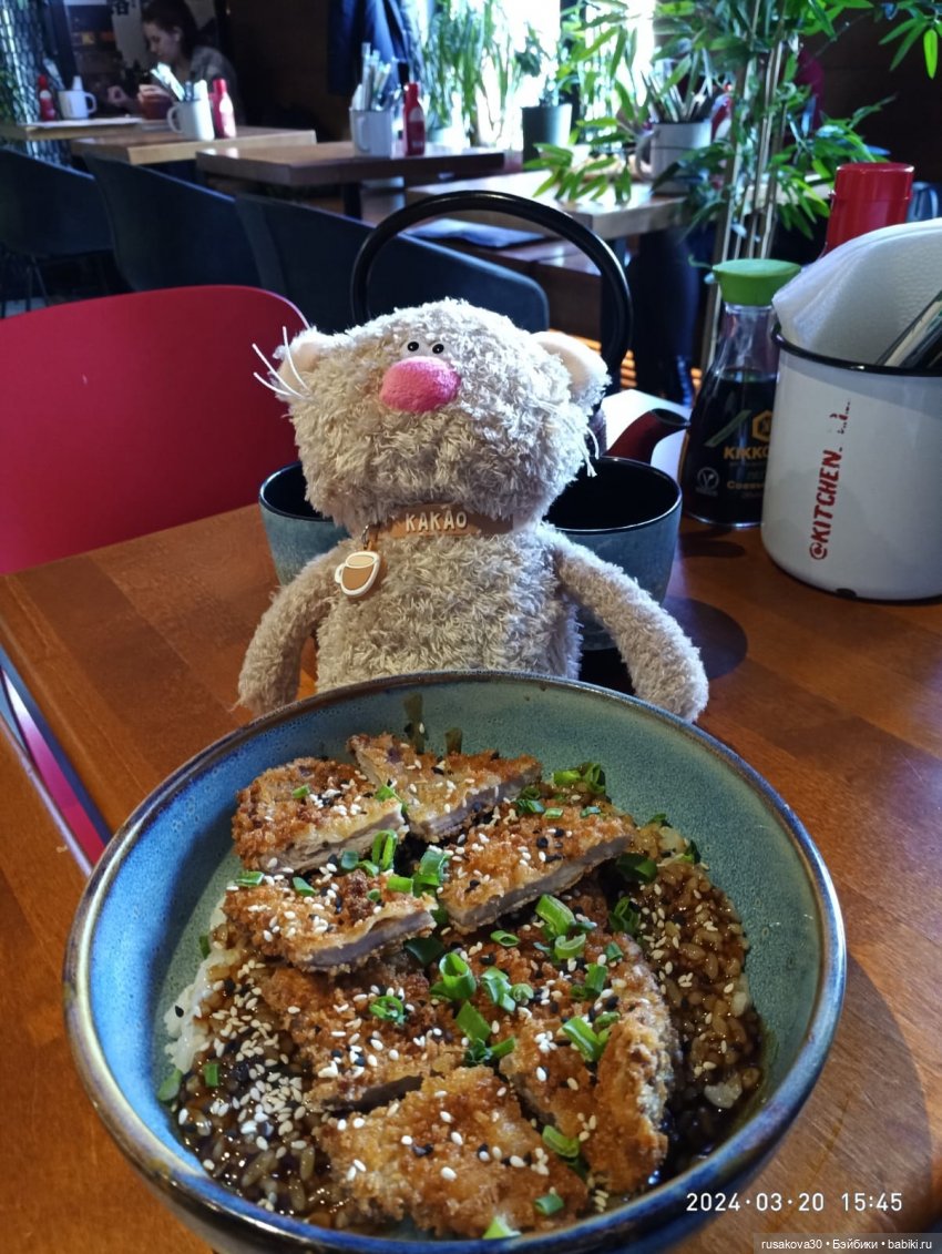 Экскурсия кота Какао по Новату "Соло для оркестра" (фото 2)