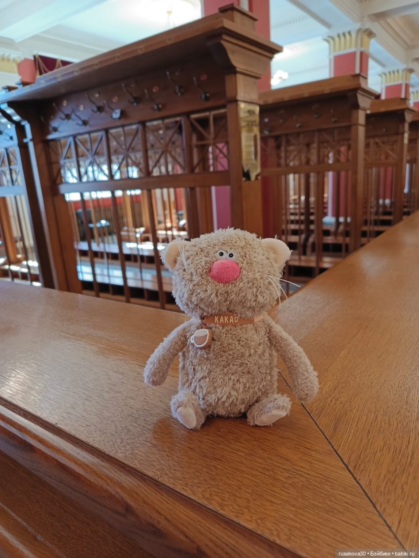 Экскурсия кота Какао по Новату "Соло для оркестра" (фото 5)