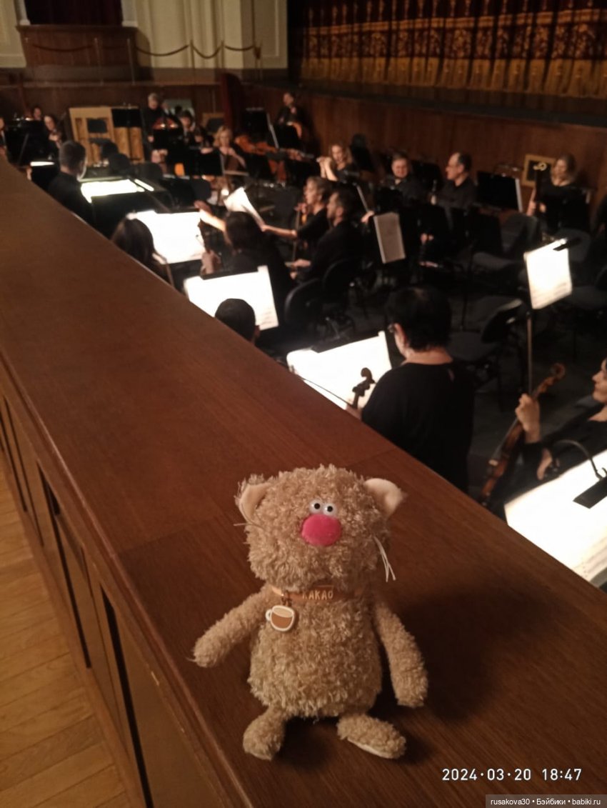 Экскурсия кота Какао по Новату "Соло для оркестра"