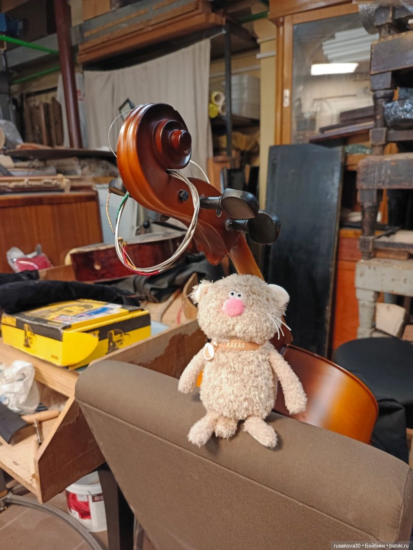 Экскурсия кота Какао по Новату "Соло для оркестра"