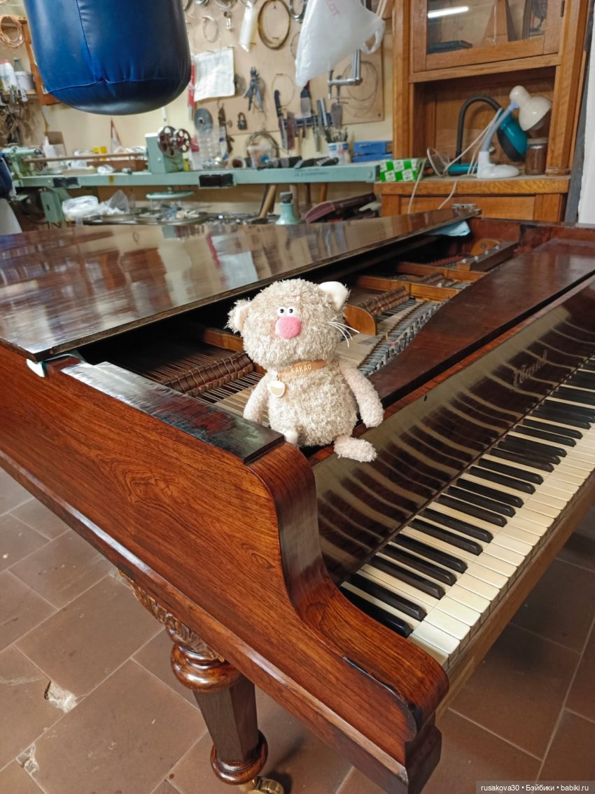 Экскурсия кота Какао по Новату "Соло для оркестра" (фото 10)