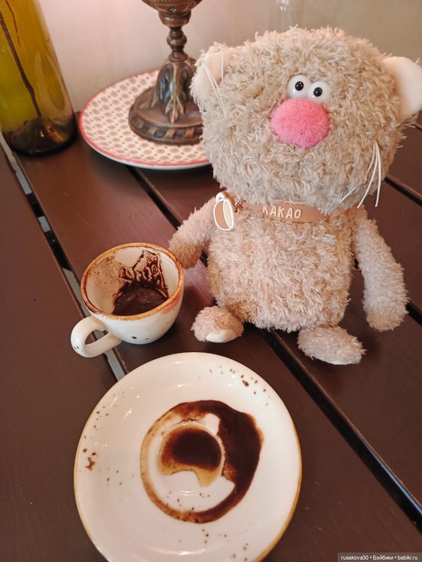 Кот Какао и вкусности — Кот Басик