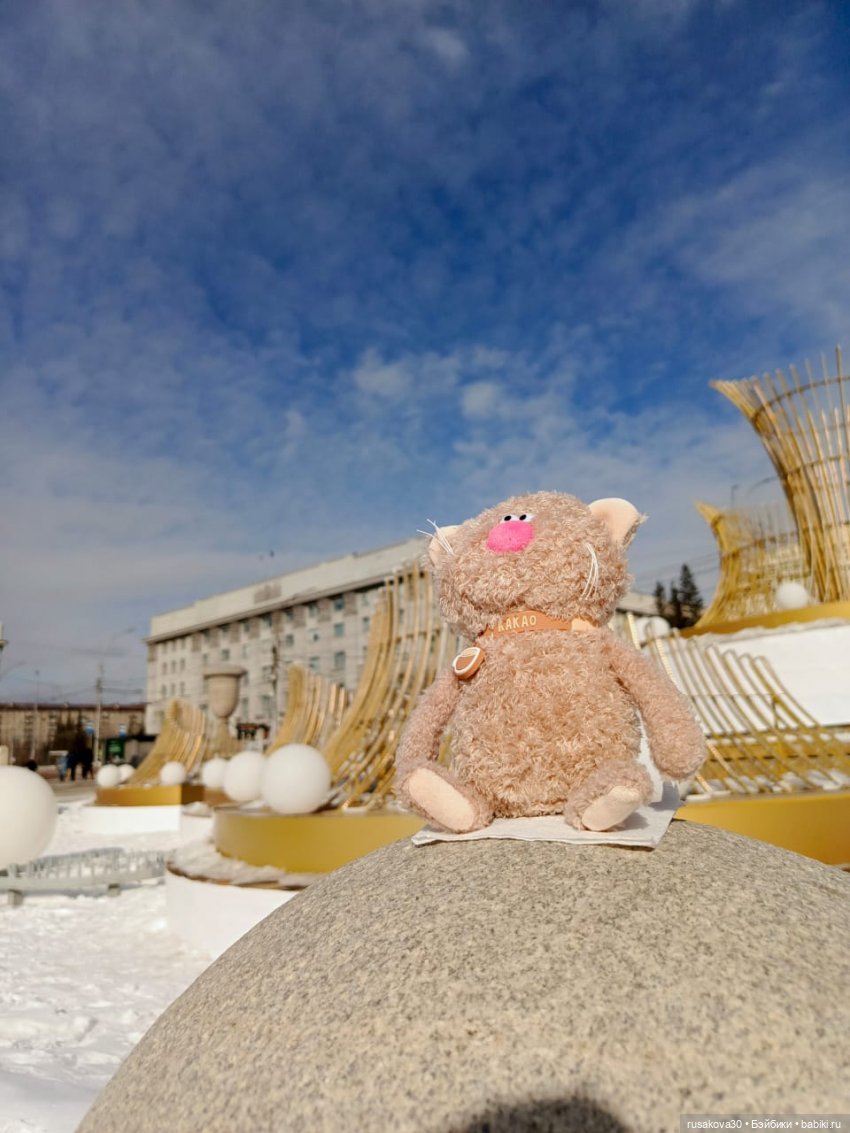 Кот Какао и вкусности — Кот Басик