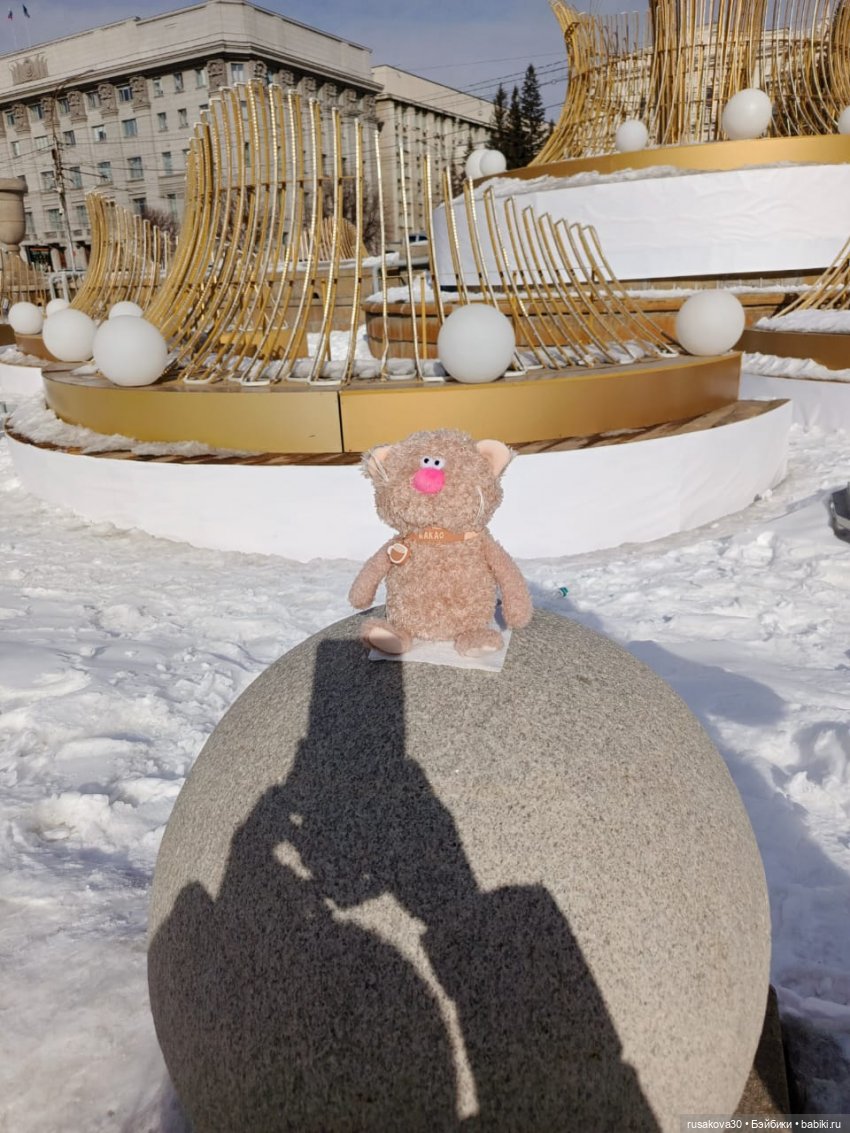 Кот Какао и вкусности — Кот Басик