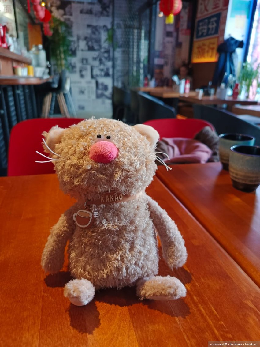 Кот Какао и вкусности — Кот Басик