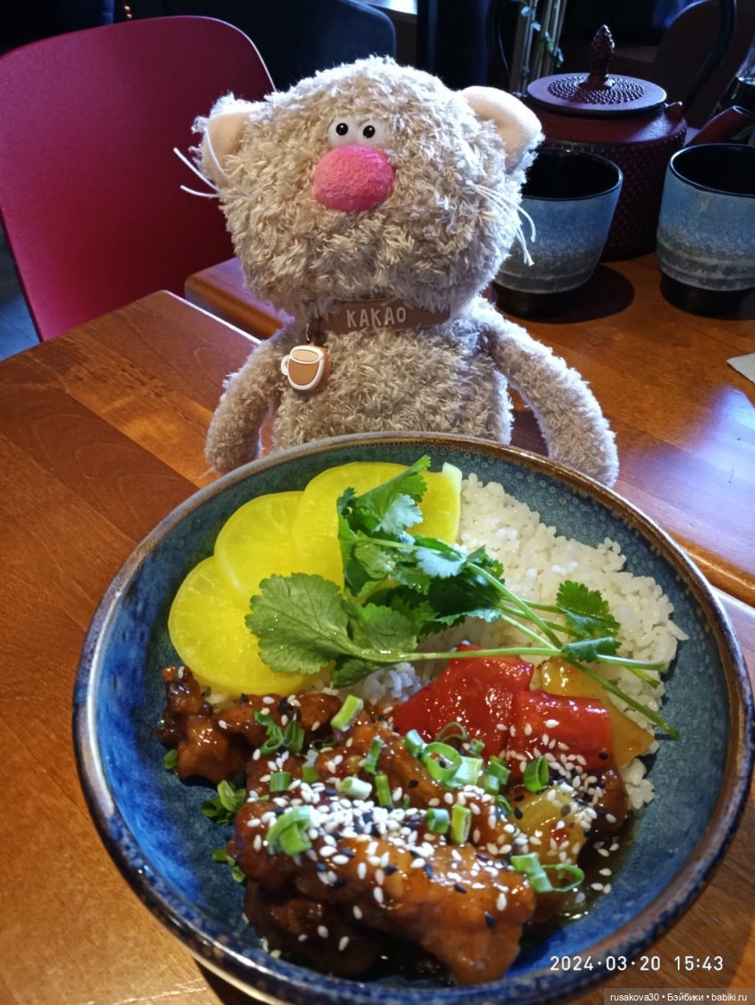 Кот Какао и вкусности — Кот Басик