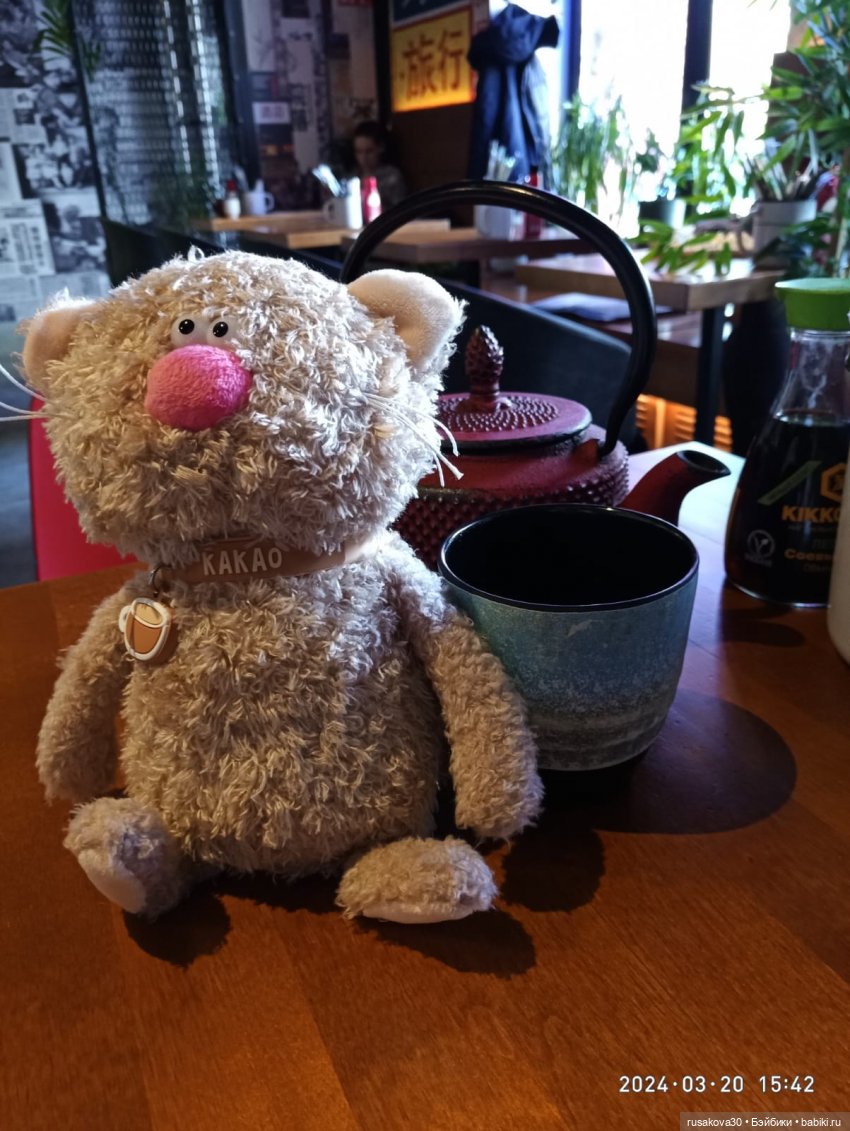 Кот Какао и вкусности — Кот Басик