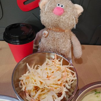 Кот Какао и вкусности