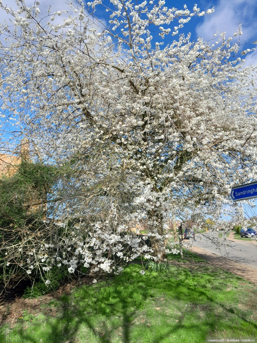 Заюшка Сашенька и весна — Авторские мишки Тедди и друзья: фото