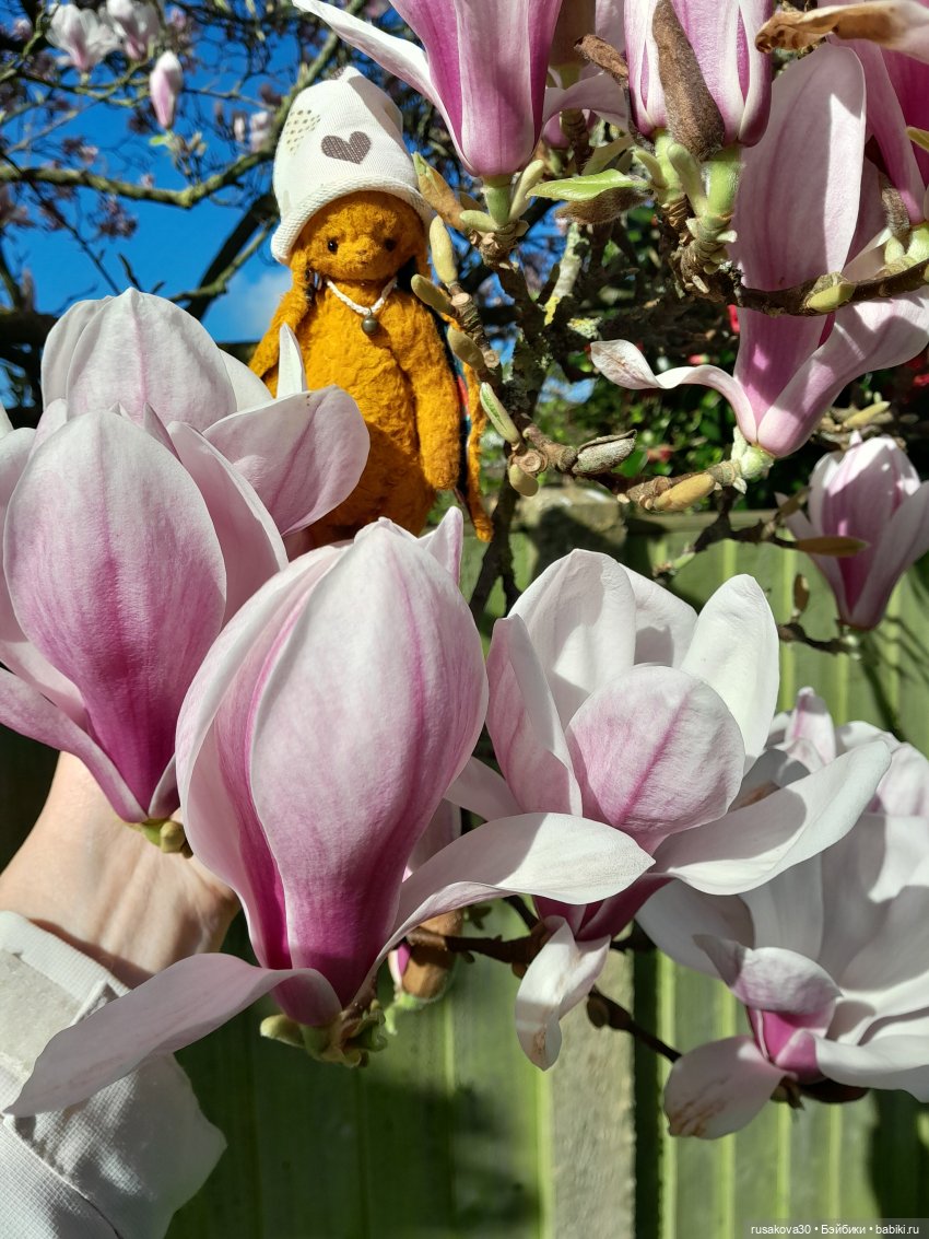 Заюшка Сашенька и весна — Авторские мишки Тедди и друзья: фото