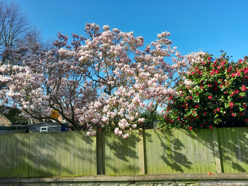 Заюшка Сашенька и весна — Авторские мишки Тедди и друзья: фото (фото 2)