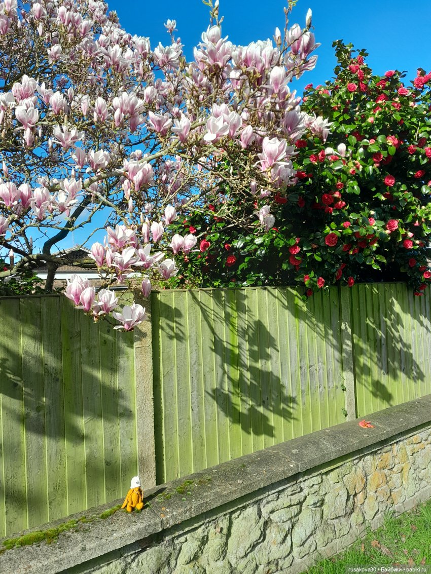 Заюшка Сашенька и весна — Авторские мишки Тедди и друзья: фото (фото 3)
