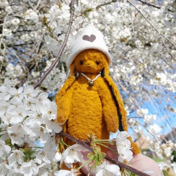 Заюшка Сашенька и весна