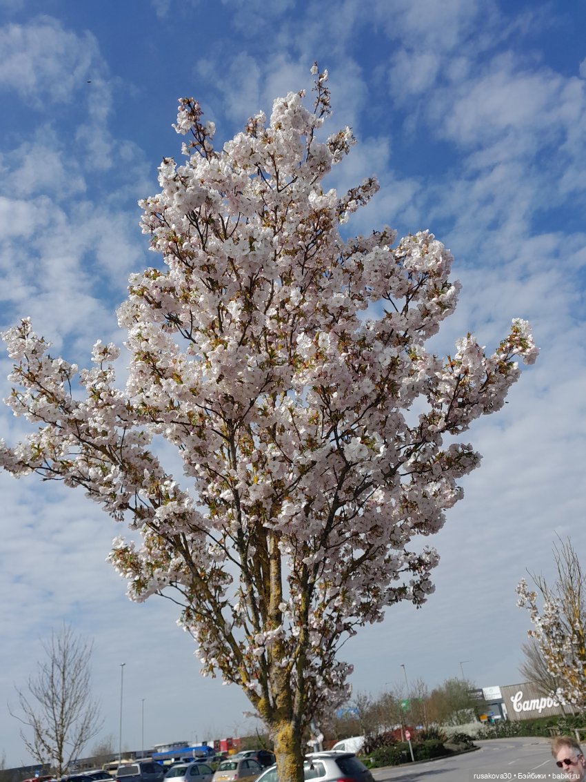 Как мы к лету готовимся — Куклы Nines d'Onil (Нинес): Миа (Mia)