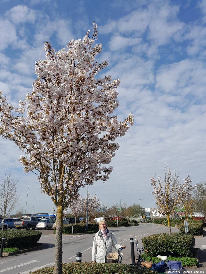 Как мы к лету готовимся — Куклы Nines d'Onil (Нинес): Миа (Mia) (фото 2)