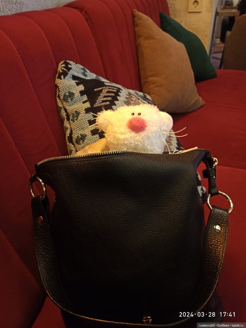 Кот Молоко — Кот Басик