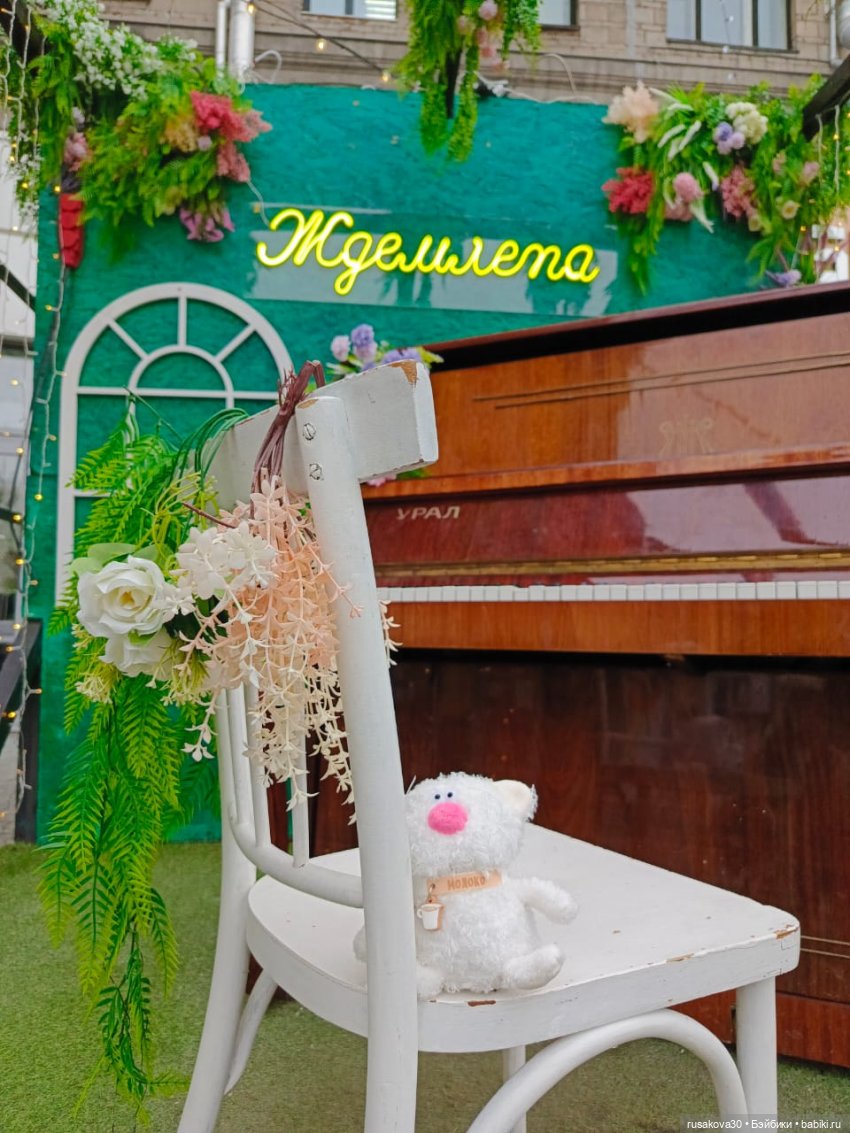 Кот Молоко — Кот Басик (фото 3)