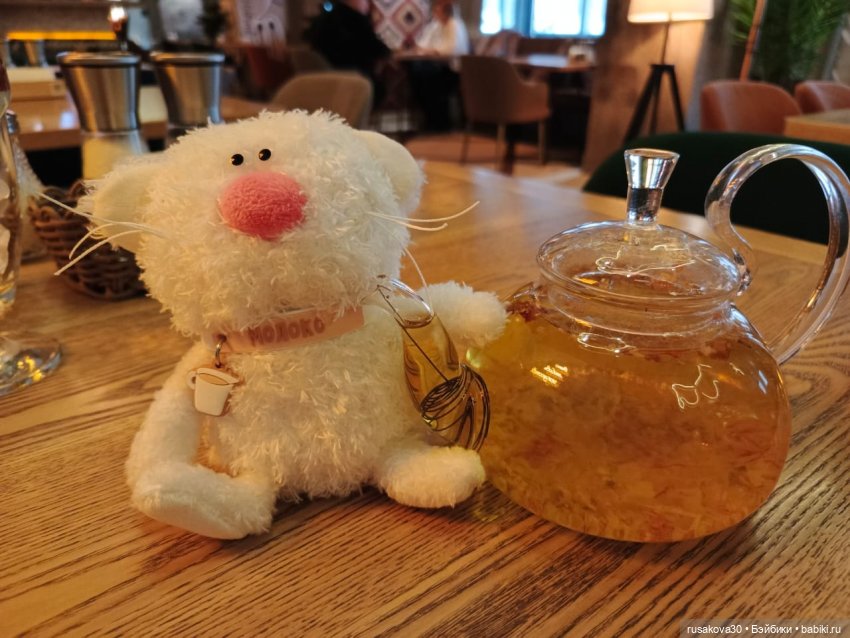 Кот Молоко — Кот Басик (фото 10)