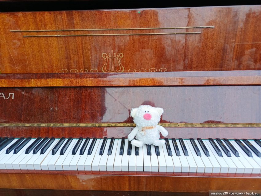 Кот Молоко — Кот Басик