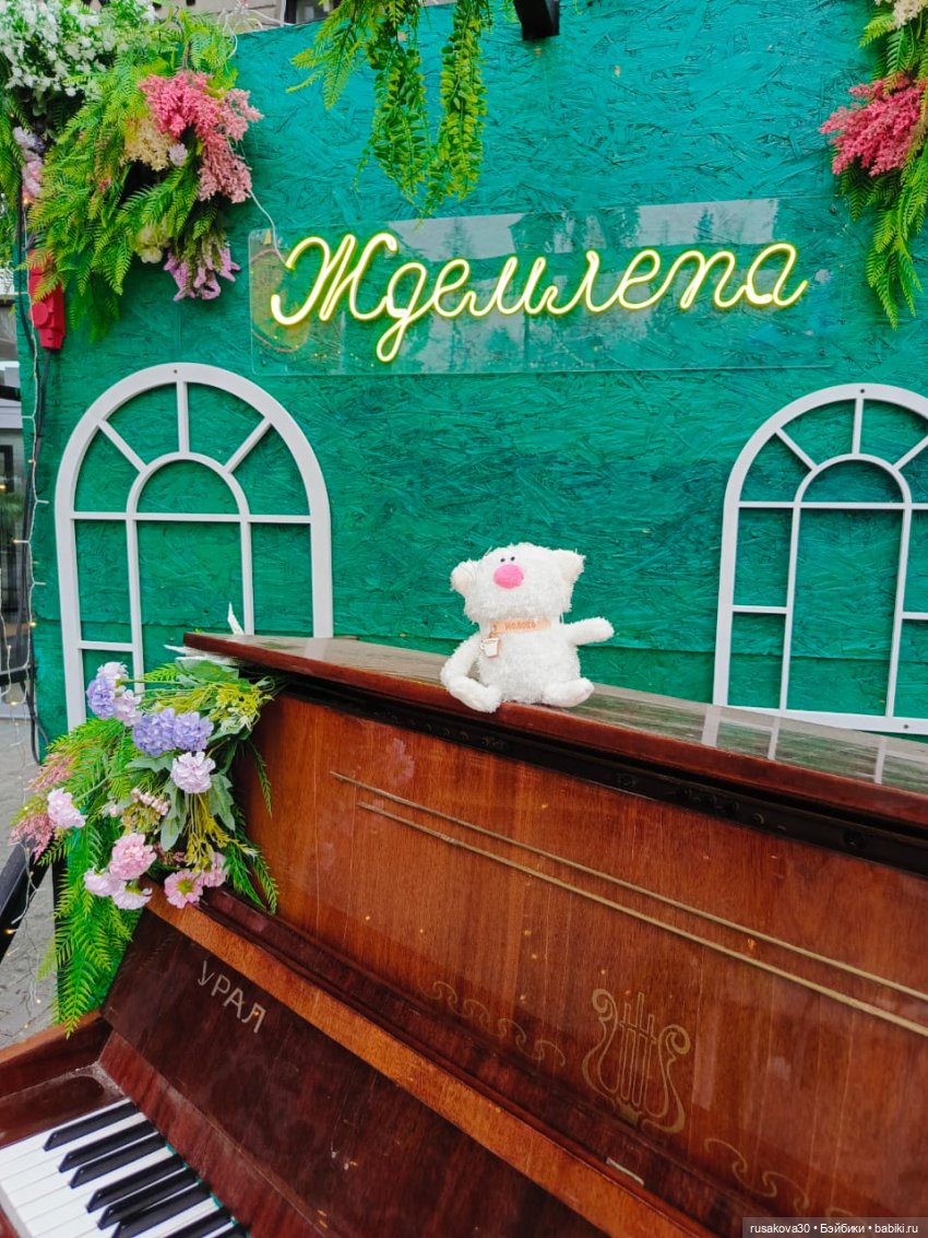 Кот Молоко — Кот Басик (фото 7)