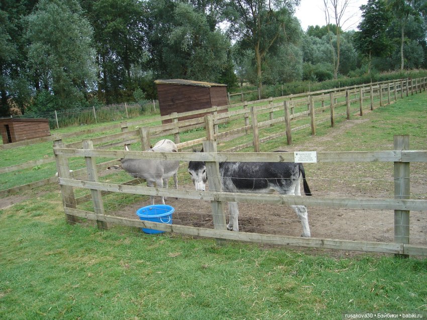 Гермиона путешествует — Куклы Harry Potter (Гарри Поттер) Mattel: Wizarding World