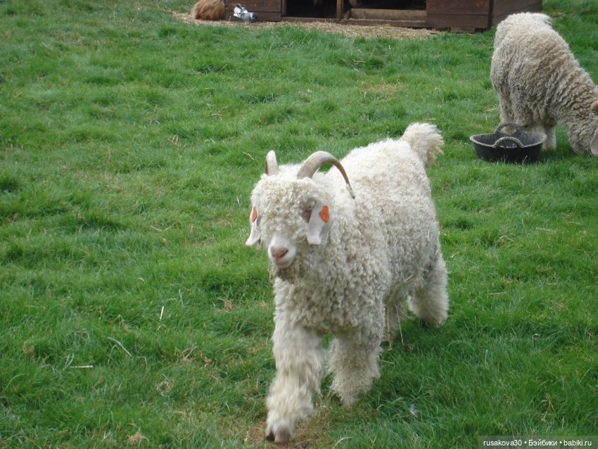 Гермиона путешествует — Куклы Harry Potter (Гарри Поттер) Mattel: Wizarding World